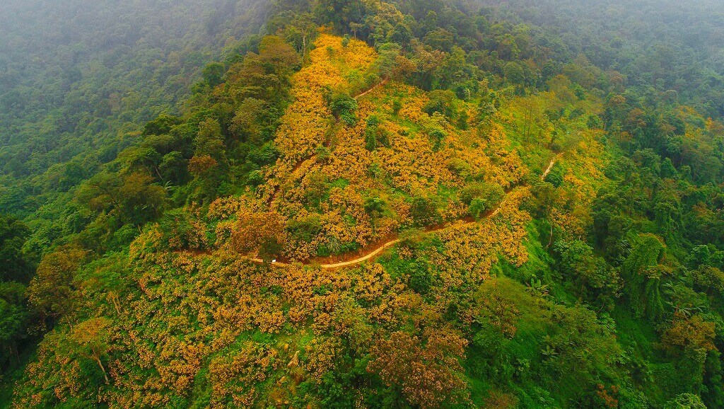 vườn quốc gia ba vì