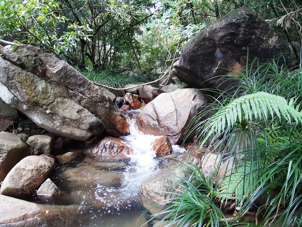 vườn quốc gia phú quốc