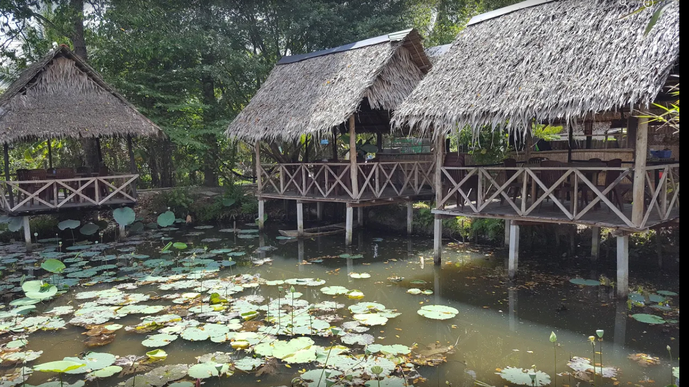 Top 20 vườn trái cây Cần Thơ nhất định phải ghé