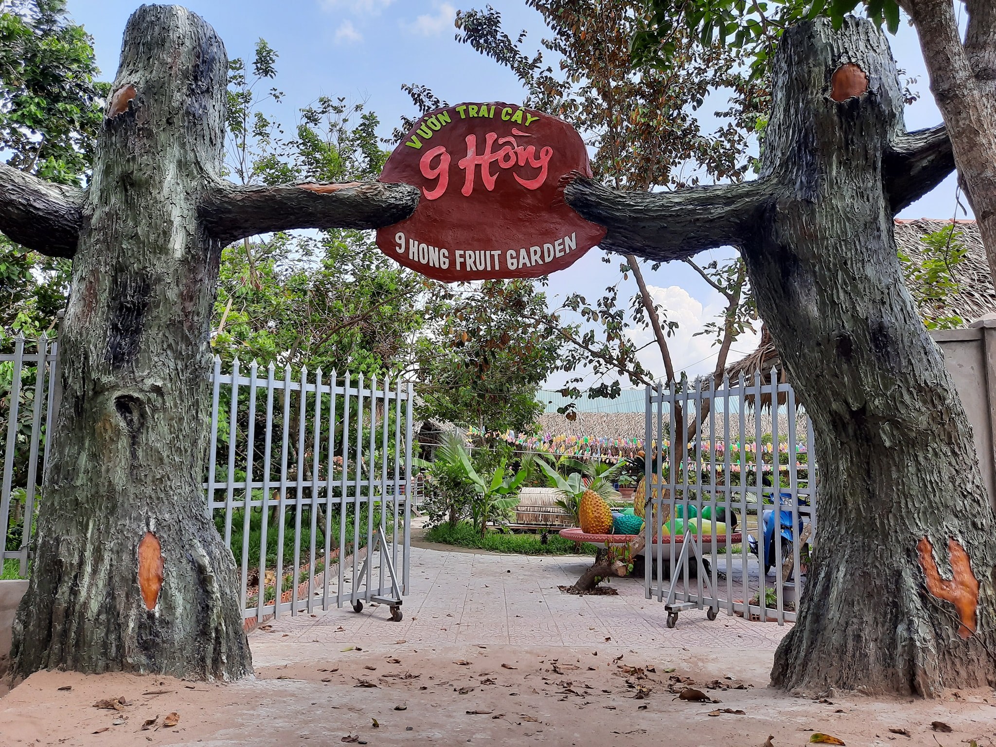 Top 20 vườn trái cây Cần Thơ nhất định phải ghé