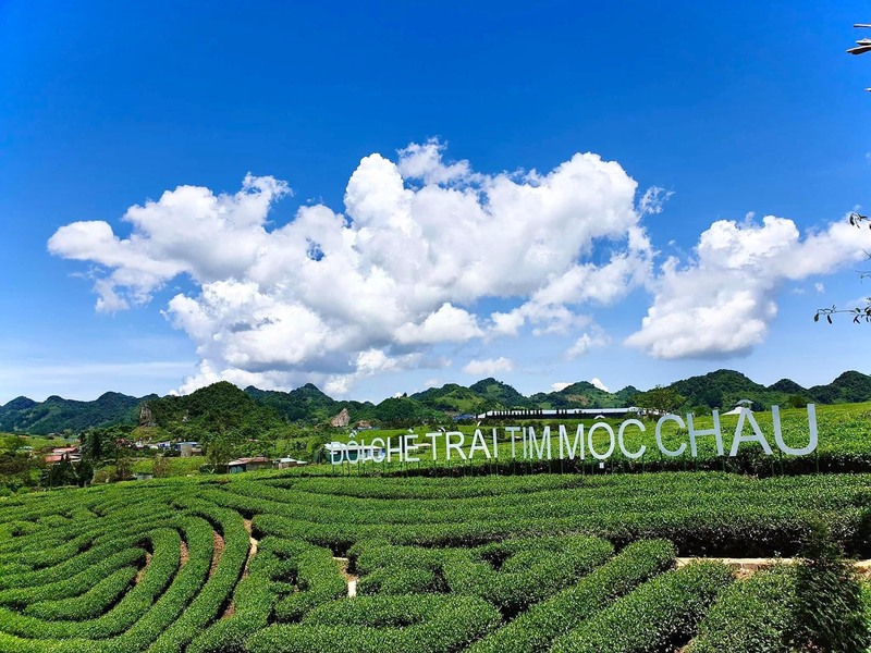 Review Villa Chelsea Mộc Châu - Chốn nghỉ dưỡng đẹp yên bình lãng mạn 