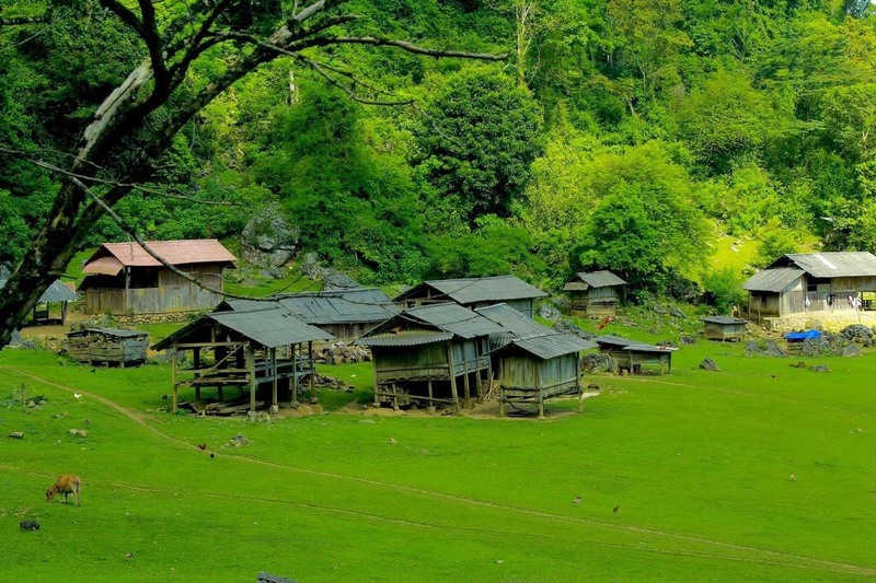 Review Villa Chelsea Mộc Châu - Chốn nghỉ dưỡng đẹp yên bình lãng mạn 