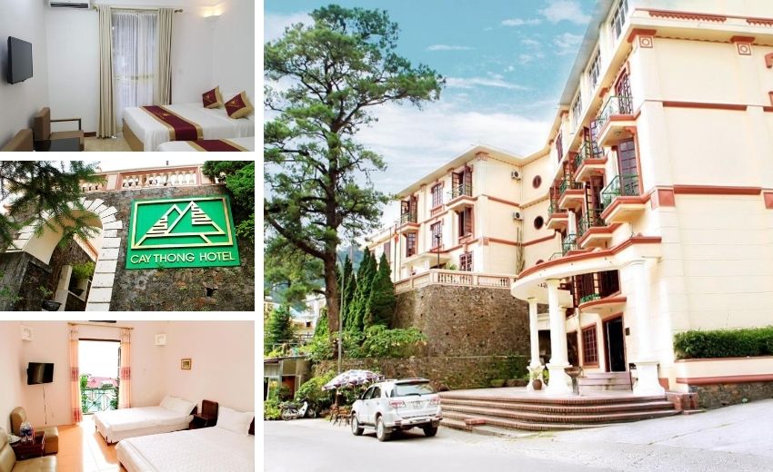 Top 10 khách sạn Tam Đảo có hồ bơi giá rẻ gần thị trấn