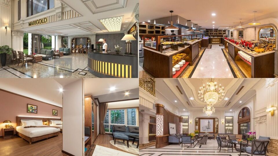 Top 20 khách sạn Đà Lạt giá rẻ gần chợ view rừng thông xanh mát