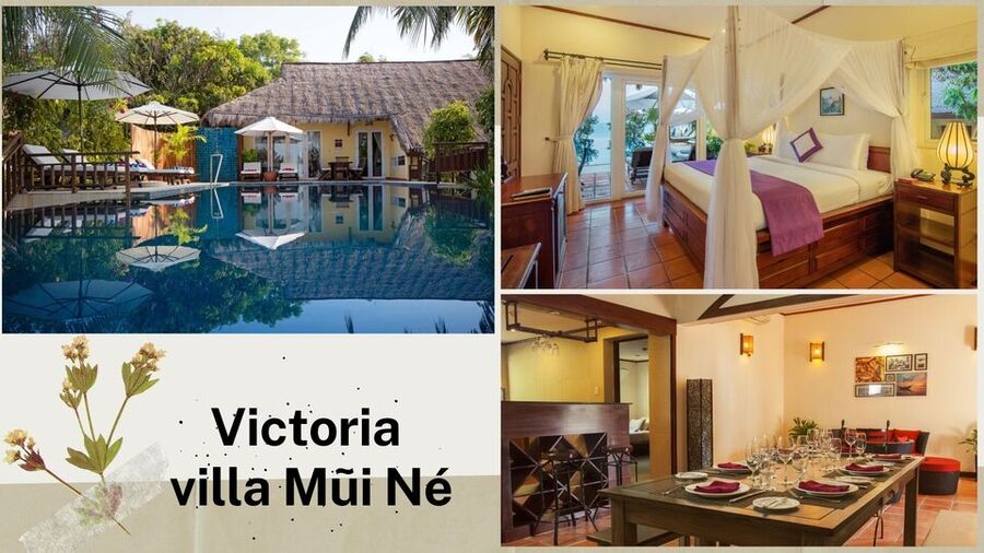 Top 20 Biệt thự villa Mũi Né Phan Thiết giá rẻ view biển đẹp đẳng cấp nhất