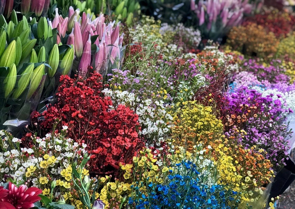 Thời điểm thích hợp nhất để du khách đi khám phá Chợ hoa Quảng An