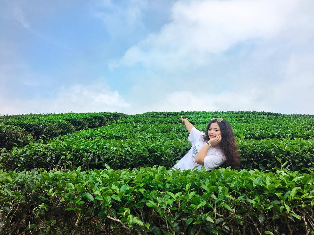 Các hình ảnh check-in của du khách tại Đảo chè Thanh Chương 