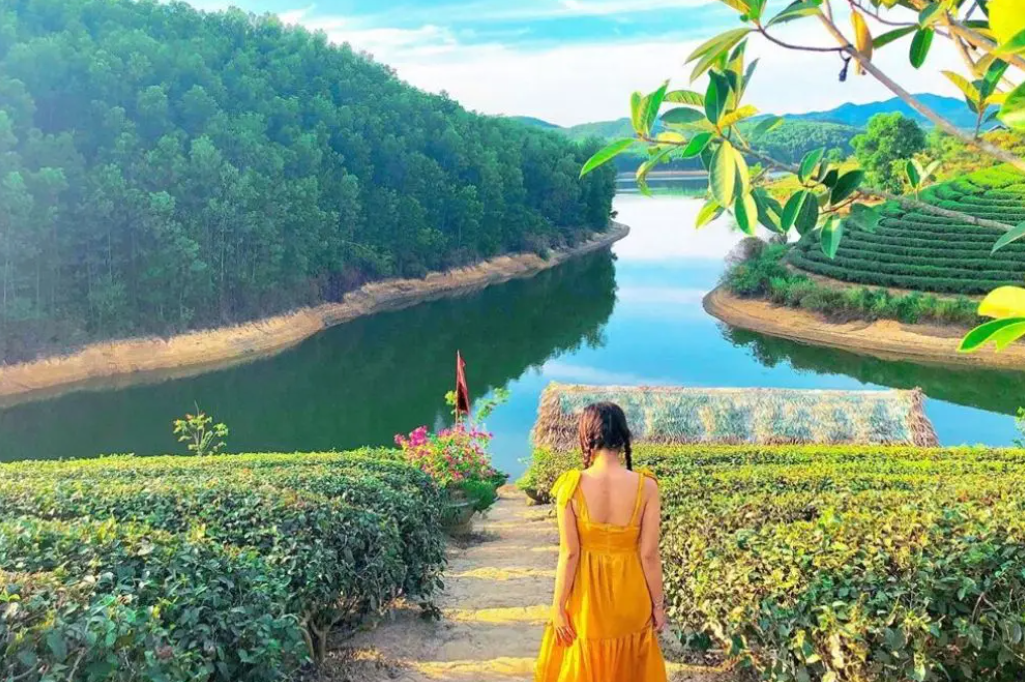 Các hình ảnh check-in của du khách tại Đảo chè Thanh Chương 