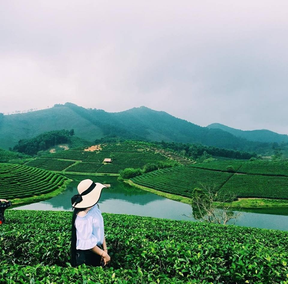 Các hình ảnh check-in của du khách tại Đảo chè Thanh Chương 