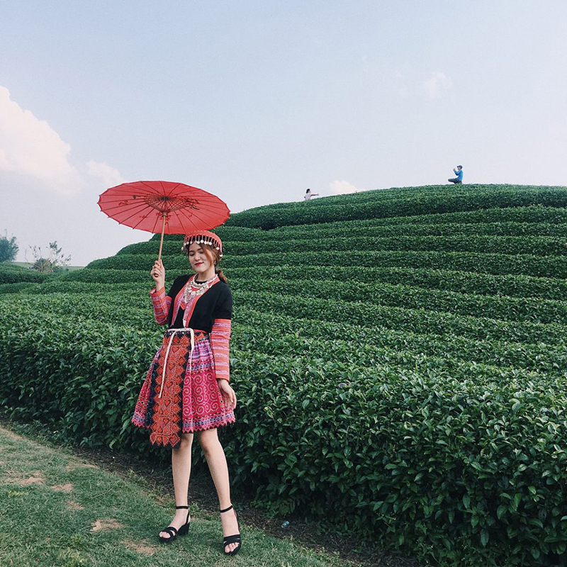 Các hình ảnh check-in của du khách tại Đảo chè Thanh Chương 