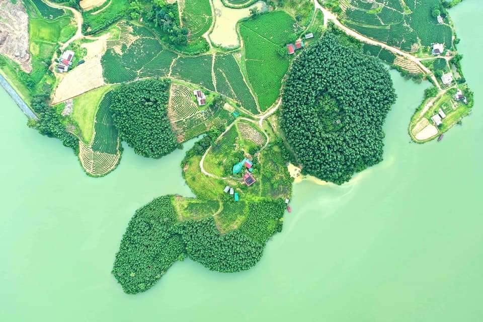 Check-in với đảo chè Thanh Chương