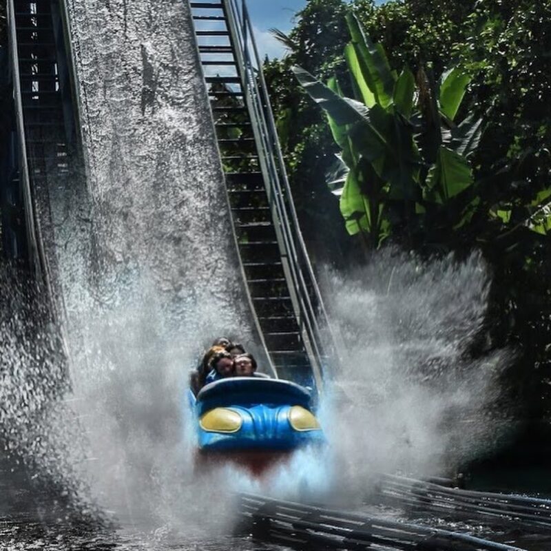 Khám phá khu du lịch Đầm sen - Tổng hợp tất tần tật kinh nghiệm vui chơi