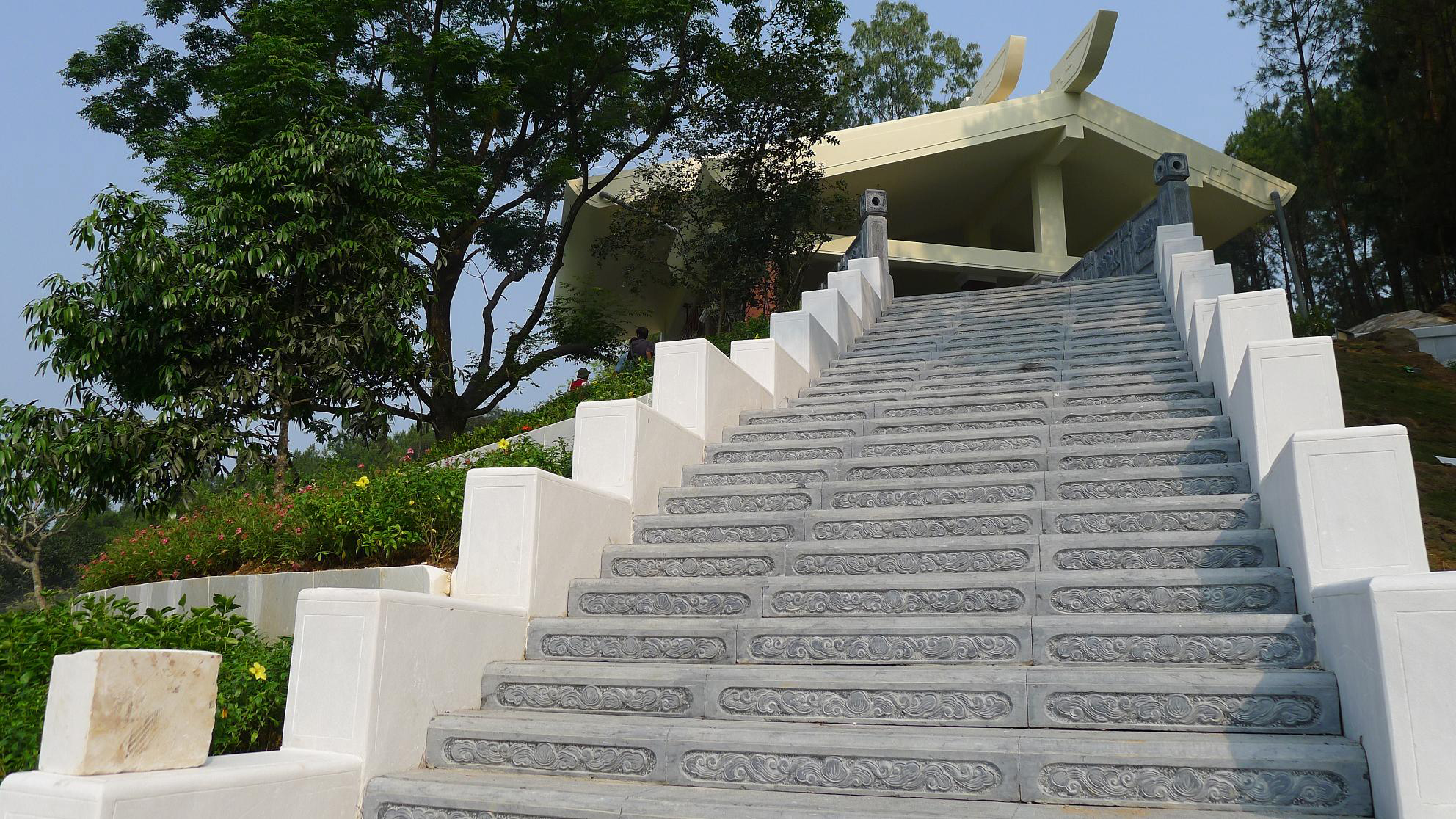 Ao sen Giếng Cốc làng Sen quê Bác