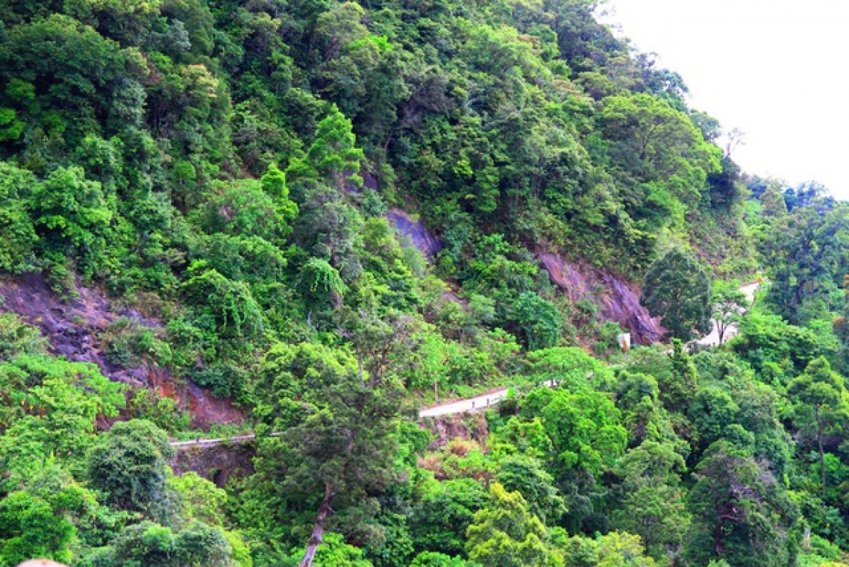 Vị trí vườn quốc gia Bạch Mã