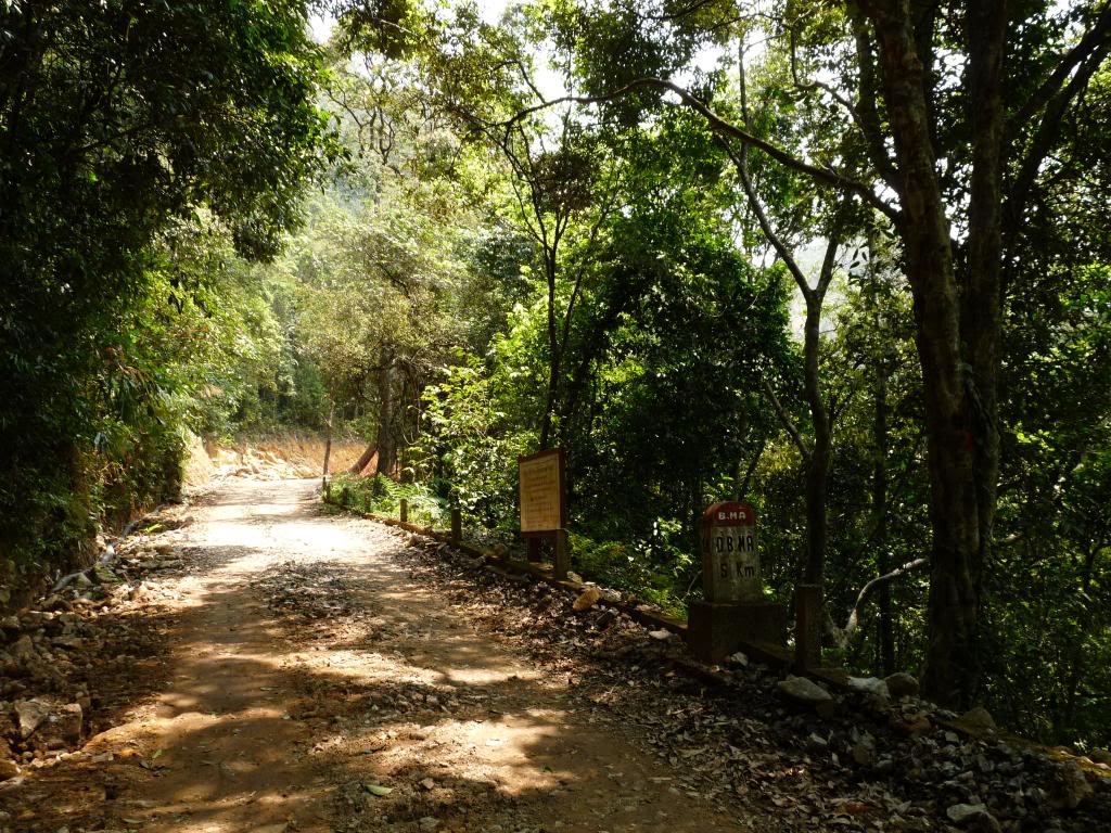 Khám phá rừng chò đen