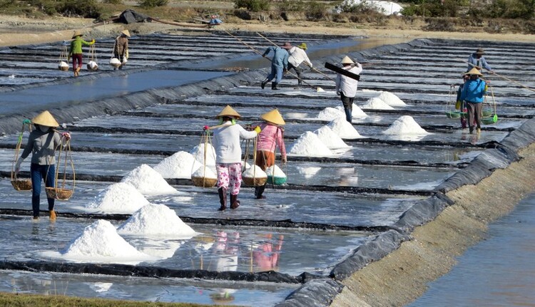Tham quan làng chài và đồng muối Hòn Khói ở dốc lết