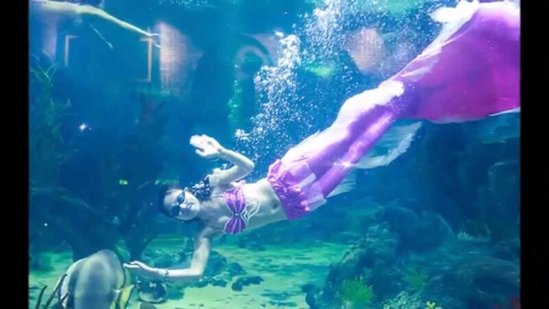 Show diễn nàng tiên cá