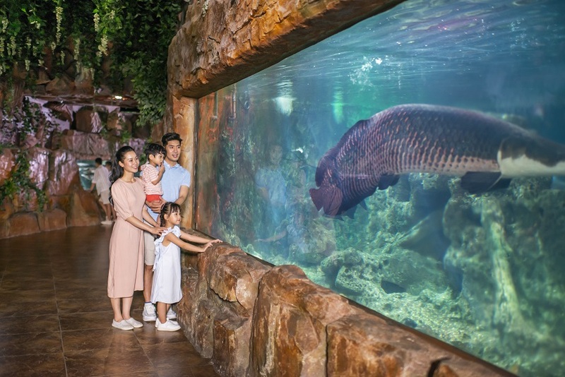 Thủy cung Times City - Đại dương thu nhỏ giữa lòng thủ đô