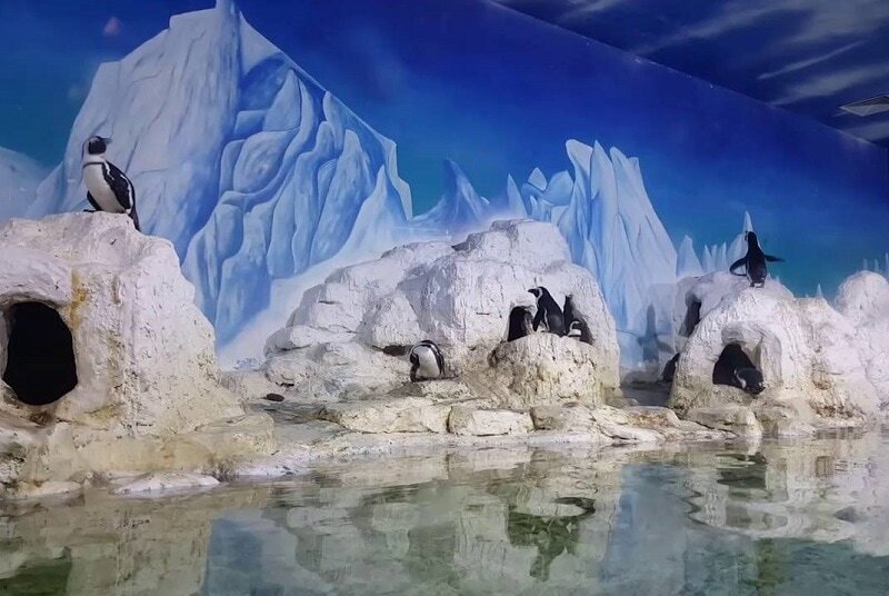 Thủy cung Times City - Đại dương thu nhỏ giữa lòng thủ đô