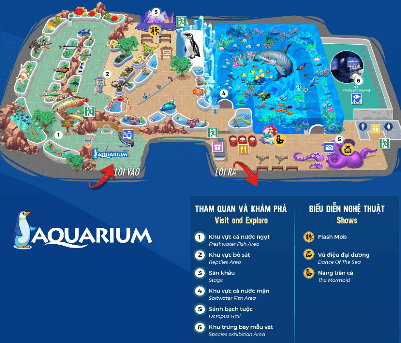 Thủy cung Times City - Đại dương thu nhỏ giữa lòng thủ đô