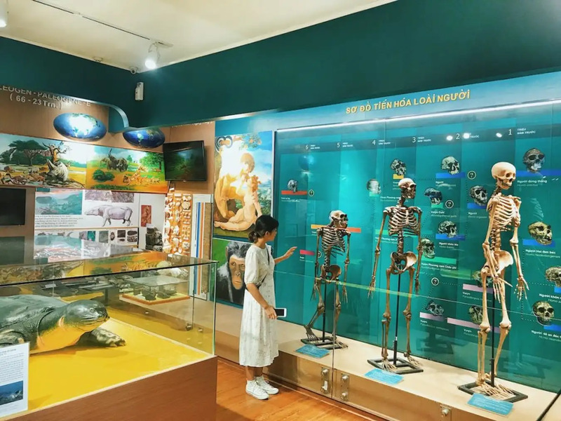 Bảo tàng Thiên nhiên Hà Nội 