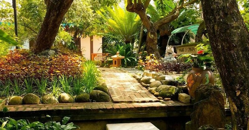 Khu vườn xanh mát