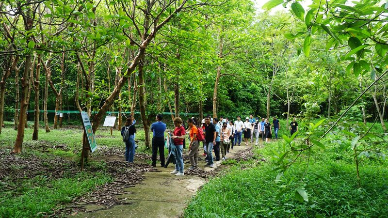 Vườn quốc gia Pù Mát - Khám phá khu sinh thái đẹp hút hồn tại Nghệ An