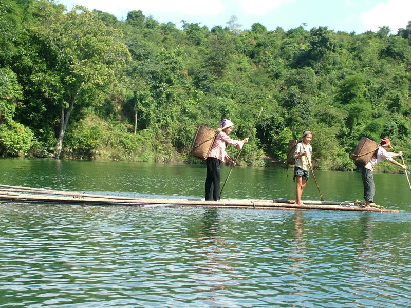 Vườn quốc gia Pù Mát - Khám phá khu sinh thái đẹp hút hồn tại Nghệ An