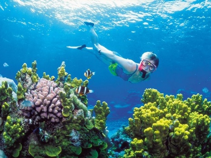 Bãi Tranh ở Nha Trang - Khám phá bãi biển độc đáo bậc nhất