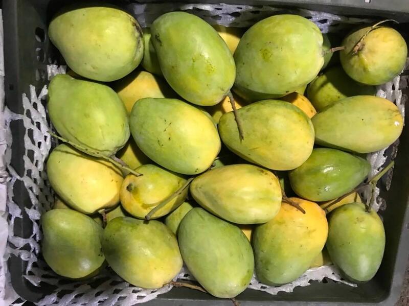 Bánh xoài Nha Trang: Giới thiệu, cách làm và các địa chỉ bán uy tín