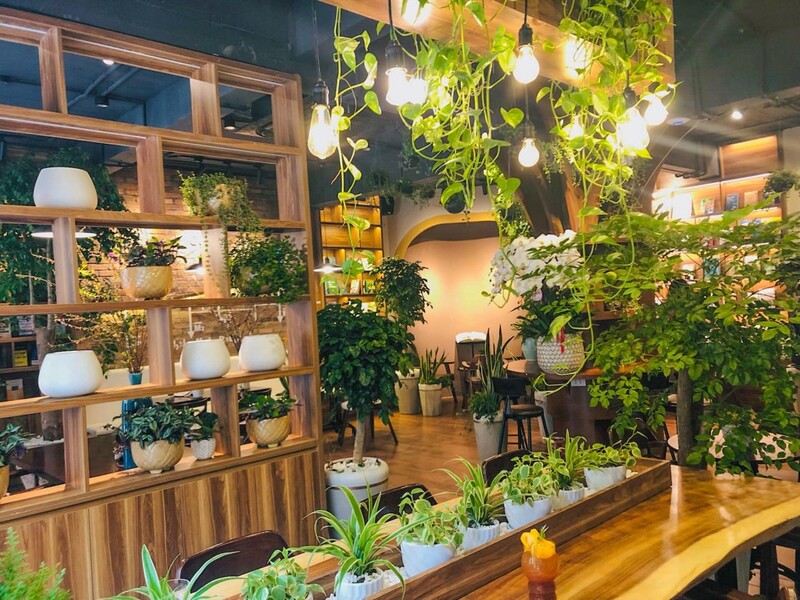 Top 10 quán cafe sách ở Hà Nội không gian cực yên tĩnh 