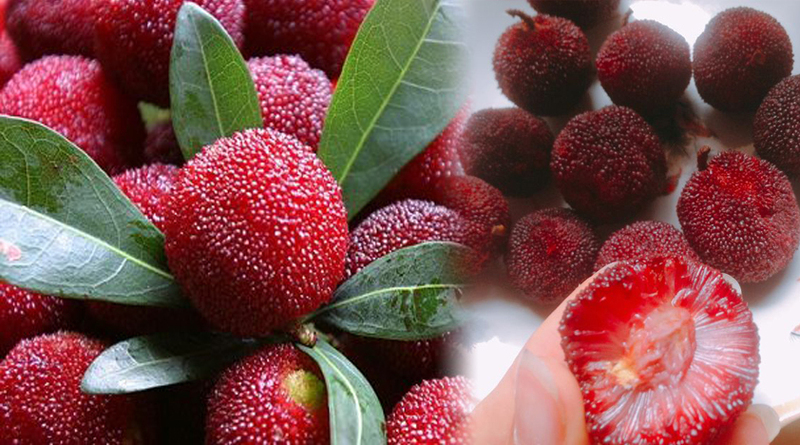 Bỏ túi kinh nghiệm du lịch tại Eo gió Quan Lạn mới nhất