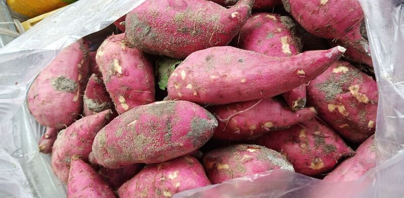 Bỏ túi kinh nghiệm du lịch tại Eo gió Quan Lạn mới nhất