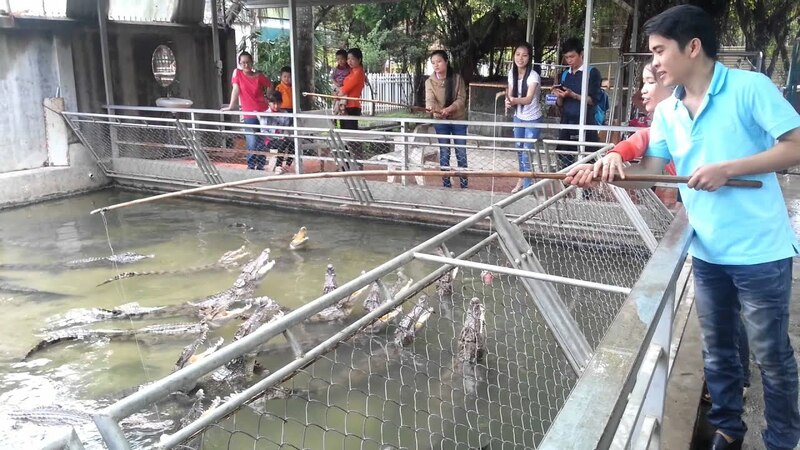 Khu du lịch Văn Thánh - Địa điểm tham quan nổi tiếng Sài Gòn