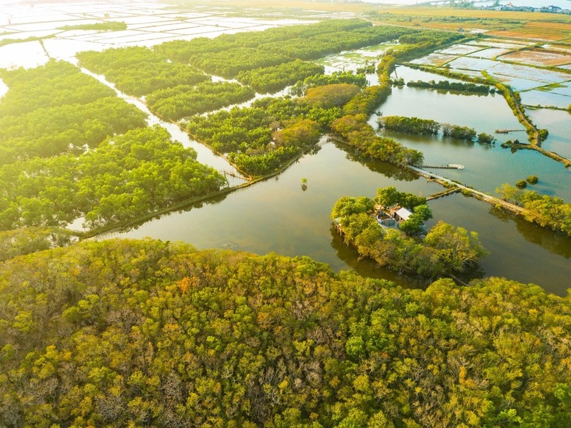 Rừng rú chá ở Huế check in siêu đẹp