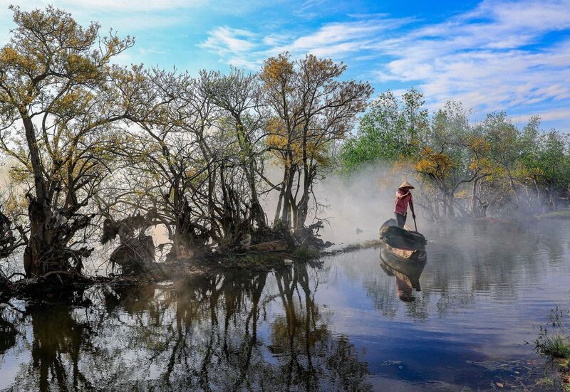 Rừng Rú Chá Huế - khám phá vẻ đẹp khu rừng nguyên sinh cực hùng vĩ và bình yên