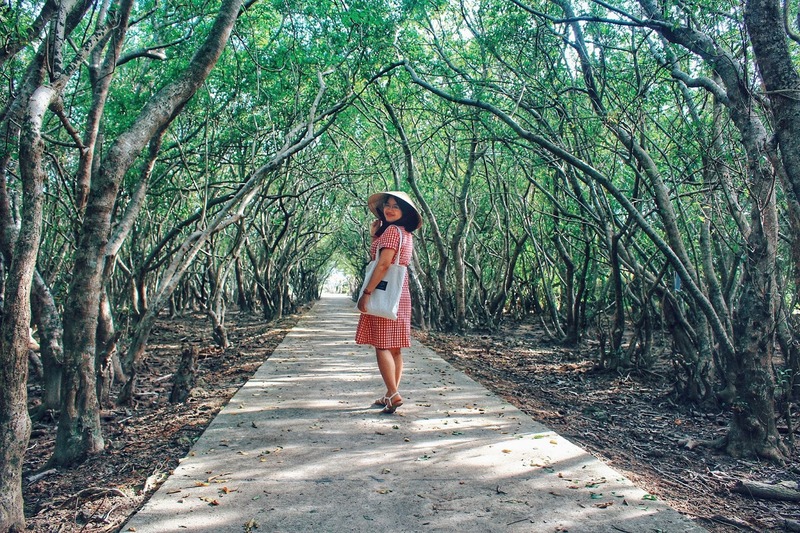 Rừng Rú Chá Huế - khám phá vẻ đẹp khu rừng nguyên sinh cực hùng vĩ và bình yên