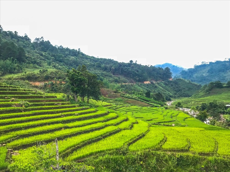 Tây Giang tỉnh Quảng Nam - Khám phá miền núi non hùng vĩ đẹp mê