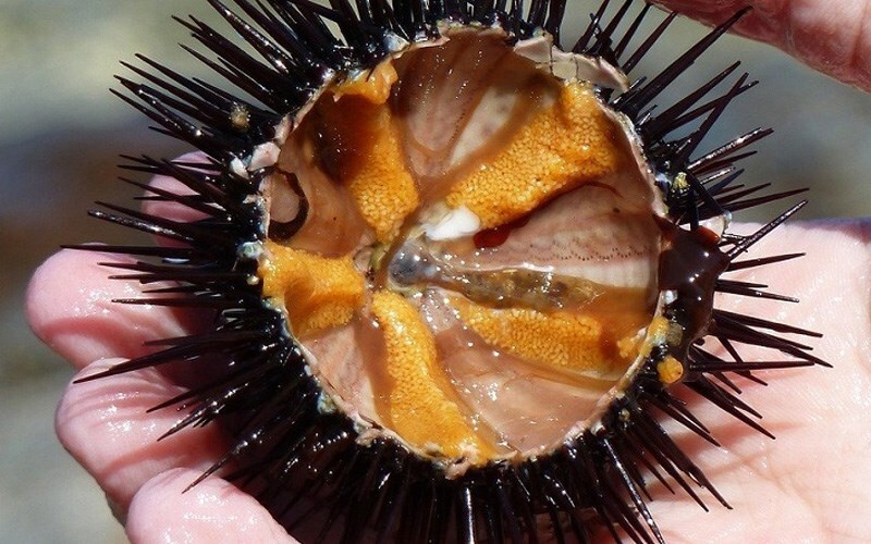 Review bãi biển Ông Lang - Quốc đảo Maldives của tại Việt Nam