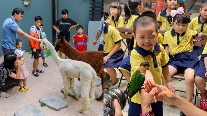 Top 15 quán cà phê thú cưng Sài Gòn dễ thương không thể bỏ lỡ