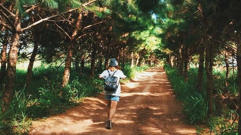 Review Trang trại Đà Lạt Farm Milk - Check-in nông trại bò sữa đầy thú vị