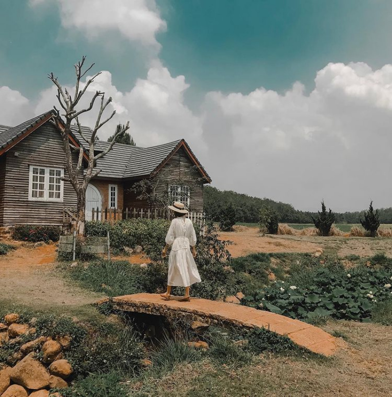 Review Trang trại Đà Lạt Milk - Check-in nông trại bò sữa đầy thú vị