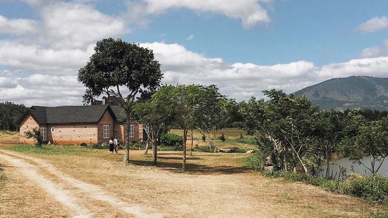 Review Đà Lạt Milk Farm - Check-in nông trại bò sữa đầy thú vị