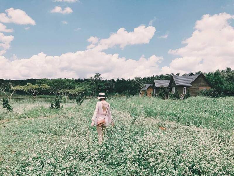 Review Đà Lạt Milk Farm - Check-in nông trại bò sữa đầy thú vị