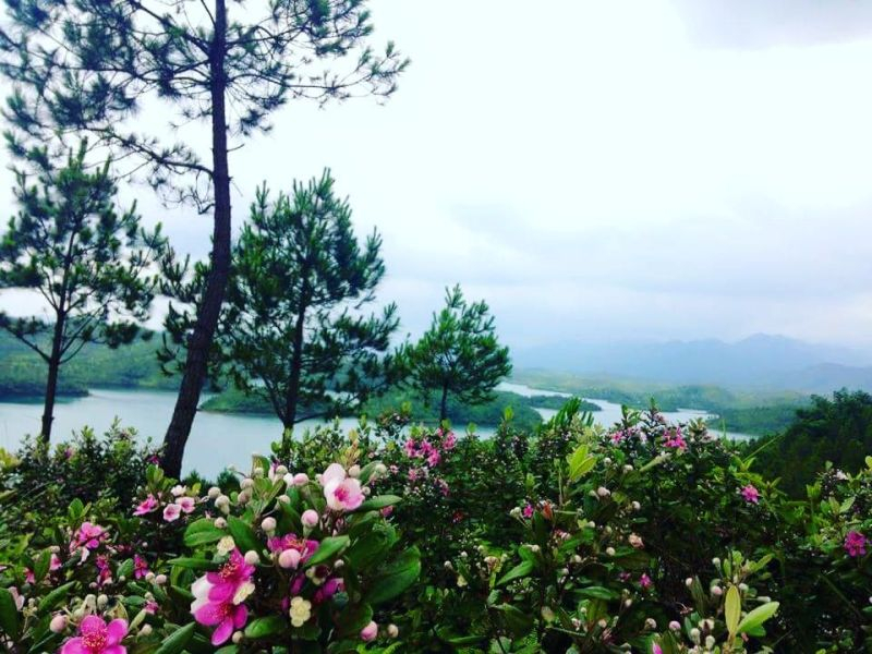 Khu du lịch Đồi Mộng Mơ Đà Lạt - nét đẹp hữu tình đầy sức hút