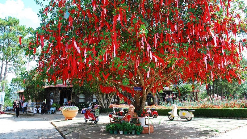 Khu du lịch Đồi Mộng Mơ Đà Lạt - nét đẹp hữu tình đầy sức hút