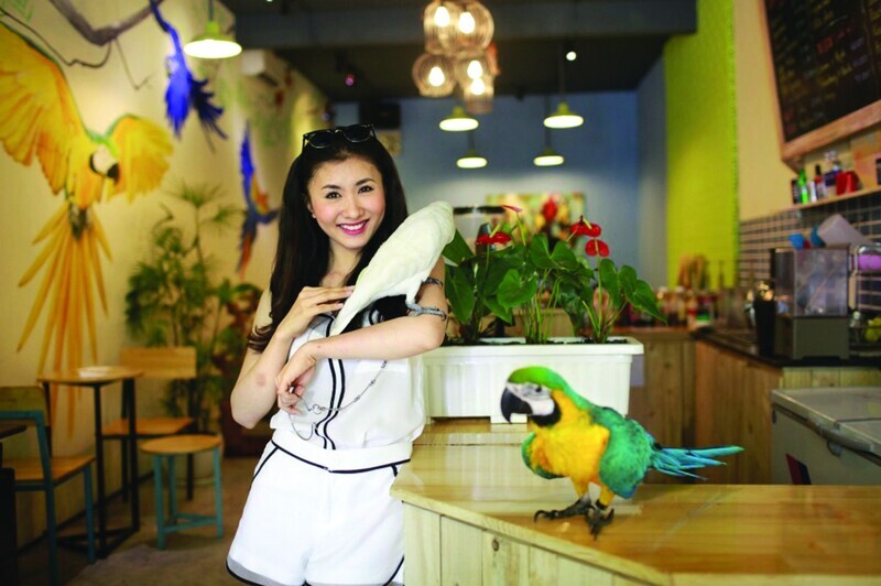 Top 15 quán cafe thú cưng Sài Gòn dễ thương không thể bỏ lỡ