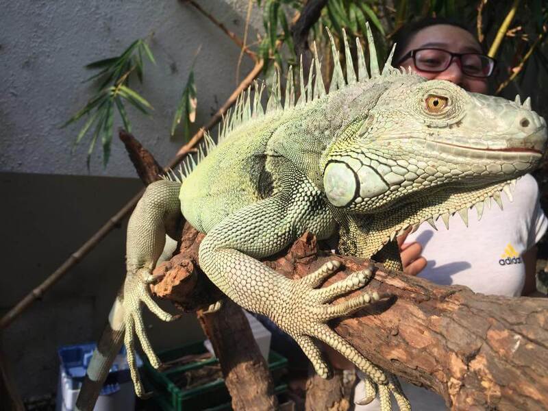 Top 15 quán cafe thú cưng Sài Gòn dễ thương không thể bỏ lỡ