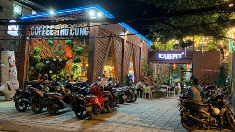 Top 15 quán cà phê thú cưng Sài Gòn dễ thương không thể bỏ lỡ