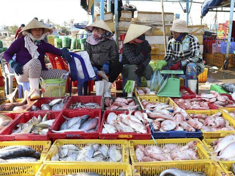 Phá đảo 10 chợ hải sản ở Mũi Né nức tiếng gần xa